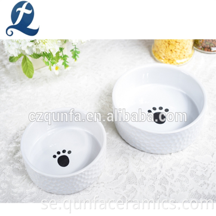 white pet dog bowl